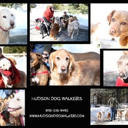 Hudson Dog Walker