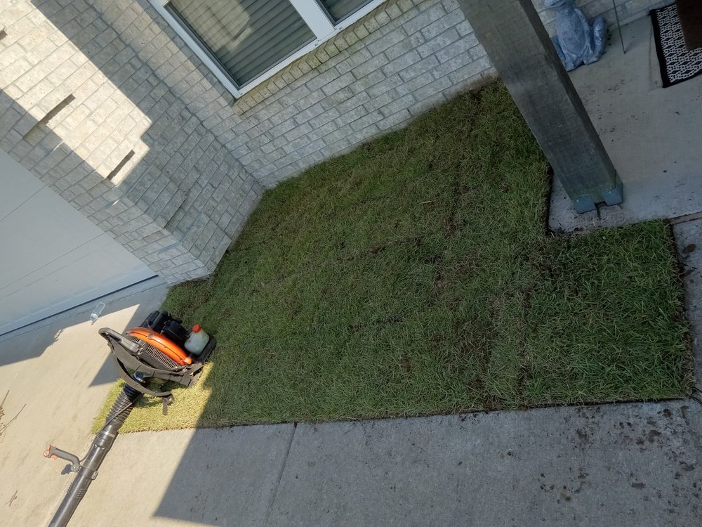 Dimas Lawn Care - tree service in Little Rock, AR