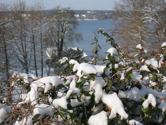 Wannsee by null