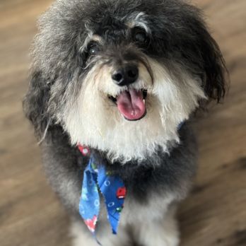 Fur Babes Spa - Pet Groomers Near Me - Long Beach, California Fur Babes Spa - Pet Groomers Near Me - Long Beach, California