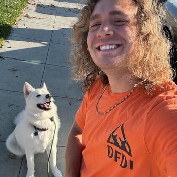 Dogfather Dog Institute - See how my dog just adores Alex! Just Amazing! - Pet Training Near Me Dogfather Dog Institute - See how my dog just adores Alex! Just Amazing! - Pet Training Near Me