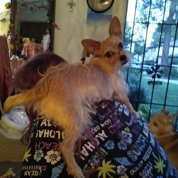 Yosemite Pet Hospital - Bella and mocha have no fear Yosemite pet hospital is here - Veterinarians Near Me - Simi Valley, California Yosemite Pet Hospital - Bella and mocha have no fear Yosemite pet hospital is here - Veterinarians Near Me - Simi Valley, California