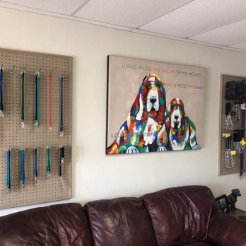 Barkingham Palace Pet Resort - Pet Sitting Near Me - Marble Falls, Texas