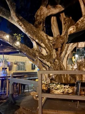 The Field Irish Pub & Eatery by null