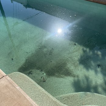 Whittier Village Pools - Pool & Hot Tub Service Near Me - Whittier, California Whittier Village Pools - Pool & Hot Tub Service Near Me - Whittier, California