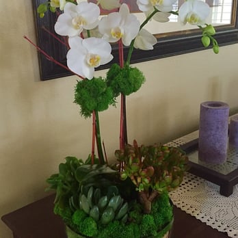 Growing Wild - Florists Near Me - Manhattan Beach, California