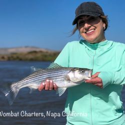 Wombat Charters