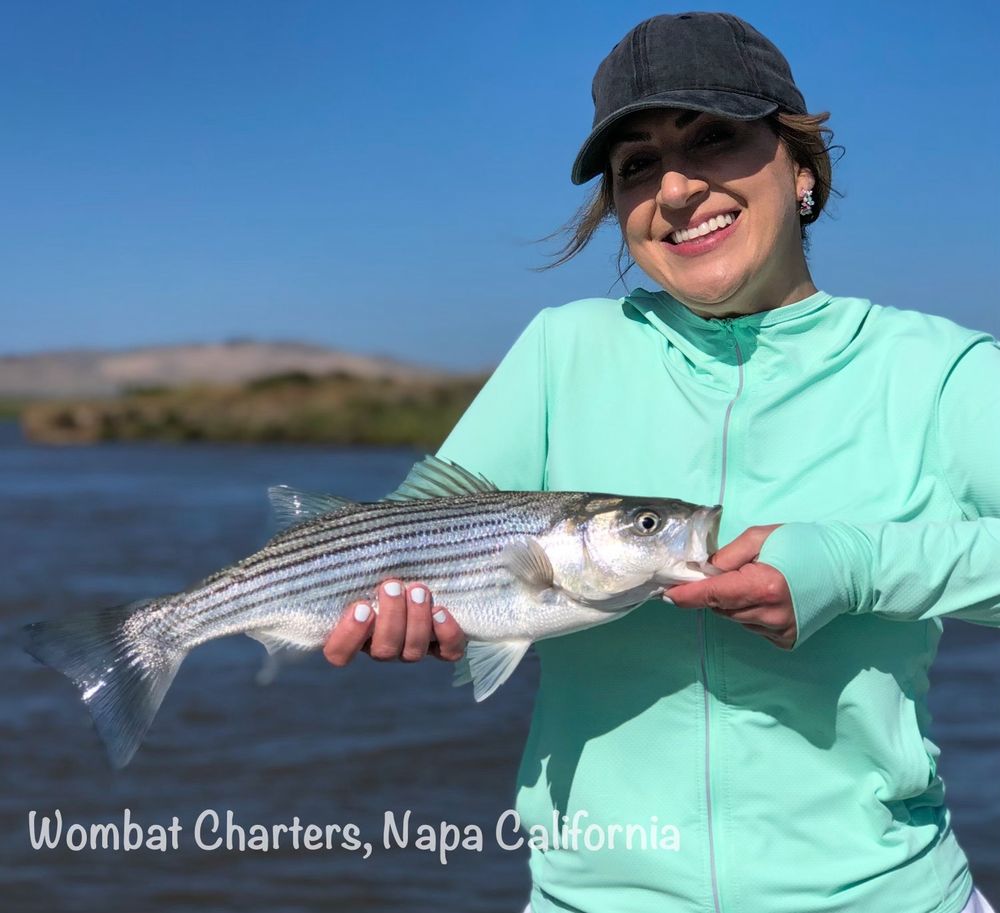 Wombat Charters Logo
