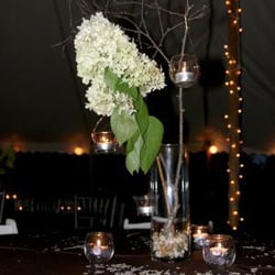 Rentex Equipment & Party Rental - Center Pieces