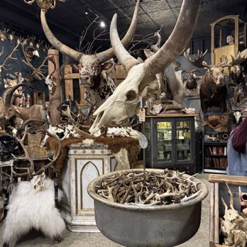 Twelve Vultures - Antiques Near Me - Minneapolis, Minnesota Twelve Vultures - Antiques Near Me - Minneapolis, Minnesota