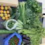 Natomas Farmers Market