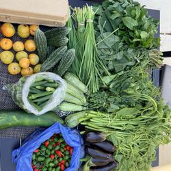 Natomas Farmers Market - Fresh produce haul