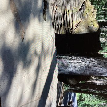 Calaveras Big Trees State Park - Parks Near Me - Arnold, California