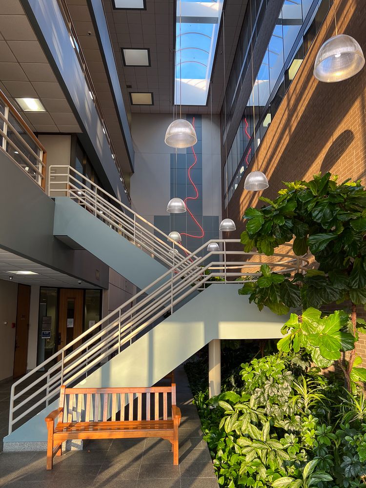 Wells Medicine - grief counselor in Houston, TX