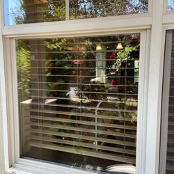 Professional Shine Window Services - After!!!