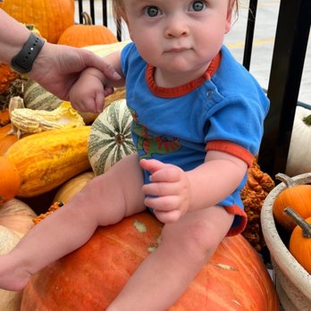 Family Tree Nursery - My favorite place to find unique and very cool pumpkins. - Nurseries & Gardening Near Me - Overland Park, Kansas Family Tree Nursery - My favorite place to find unique and very cool pumpkins. - Nurseries & Gardening Near Me - Overland Park, Kansas