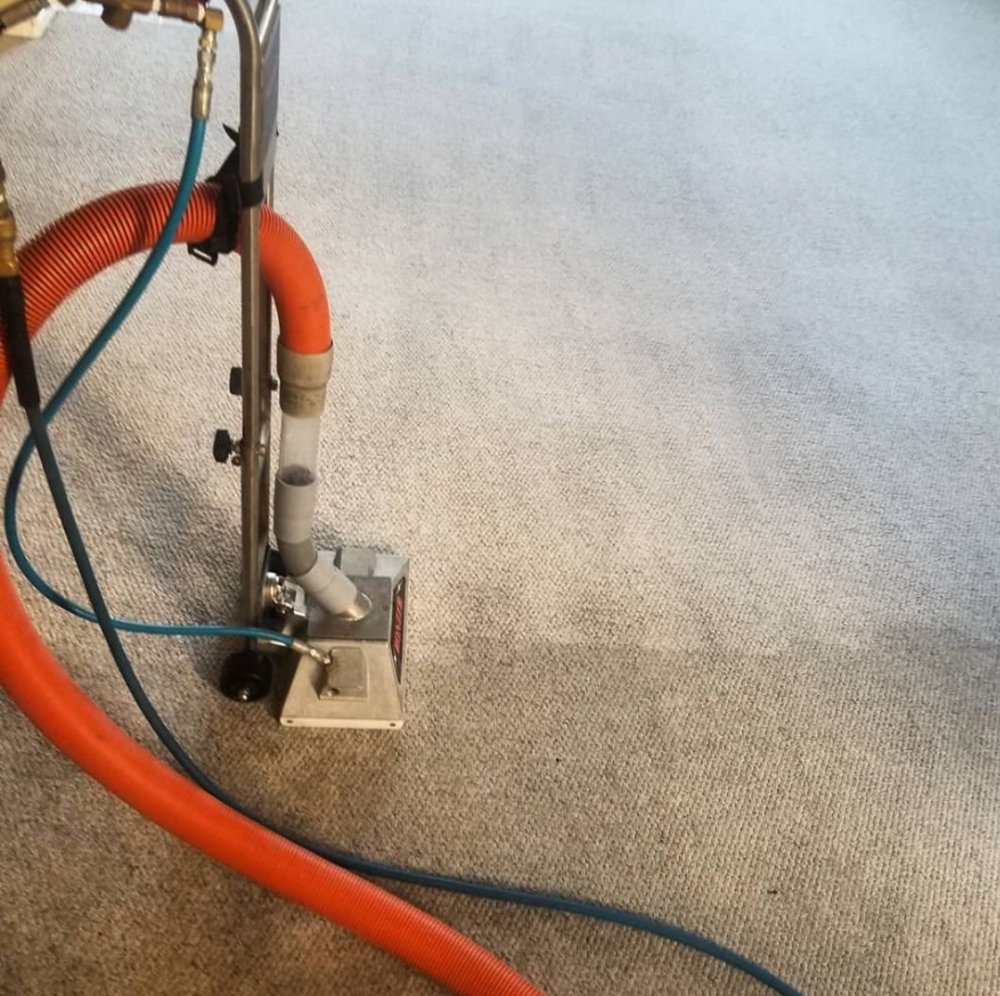 STAIN STALKERS CARPET TILE AND UPHOLSTERY CLEANING Updated July 2024