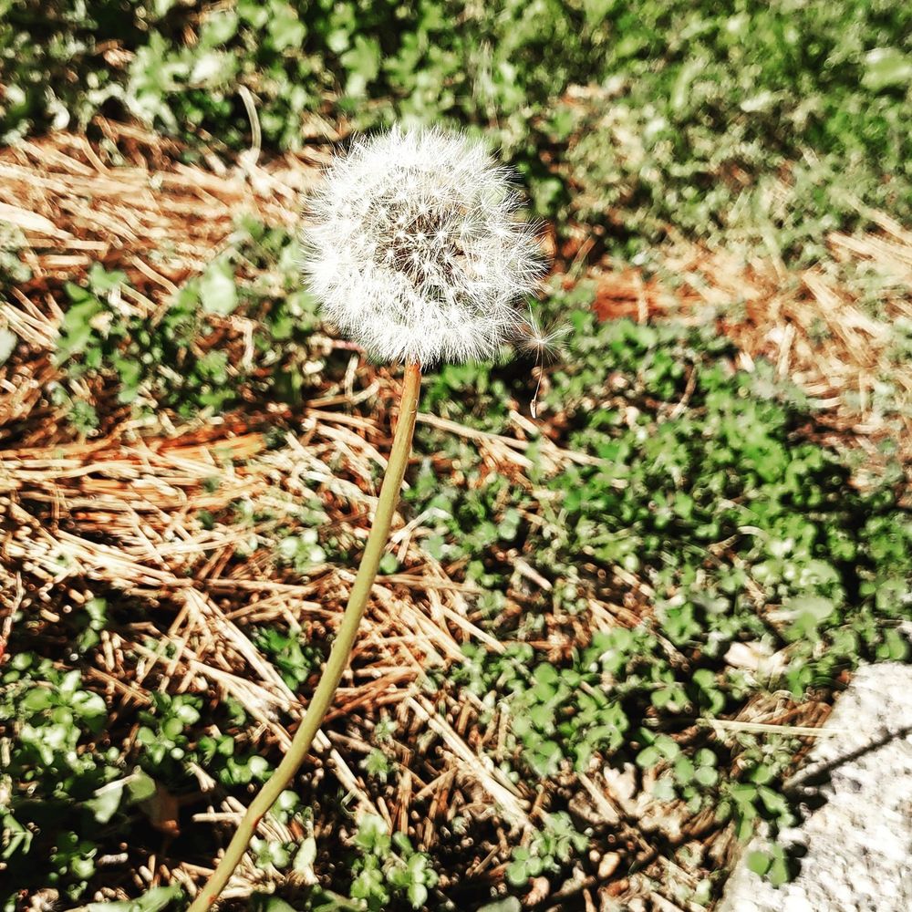 CIMARRON PARK Updated October 2024 14 Photos & 12 Reviews 736