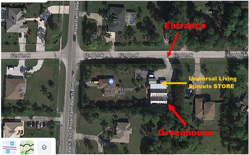 UNIVERSAL LIVING SPROUTS Updated August 2024 21 Photos 6238 Royal