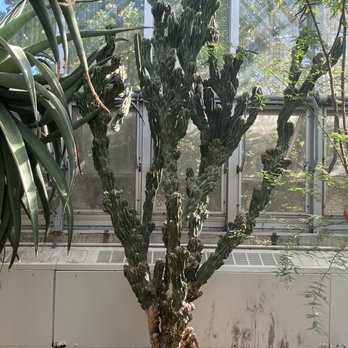 Chicago Botanic Garden - Don't know the name - Botanical Gardens Near Me - Glencoe, Illinois