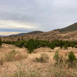 Green Gulch Trailhead - Beautiful high chaparral n December