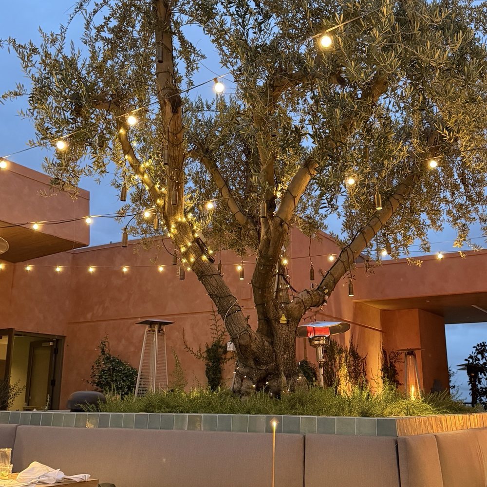 Osa Rooftop - decor - Bars Near Me - Pasadena, California