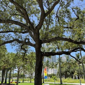 Collins Park on Yelp