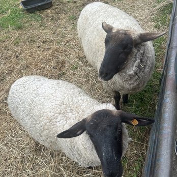 Frying Pan Farm Park - Parks Near Me - Herndon, Virginia