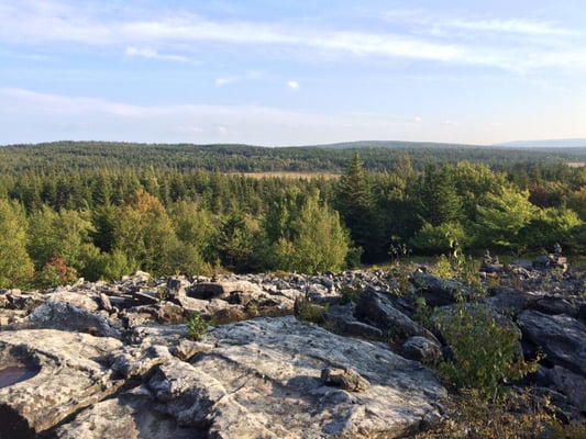 Dolly Sods Wilderness by null