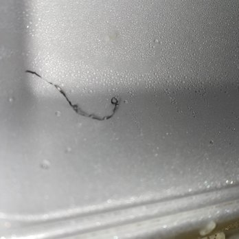Sushi Kinoya - A metal shaving in sushi - Japanese Near Me - Moreno Valley, California