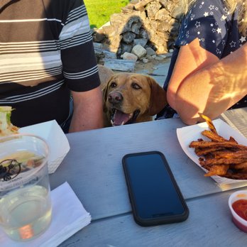The Bus - Poe, the farm dog also really wants the food - Food Trucks Near Me - New Hampton, New York