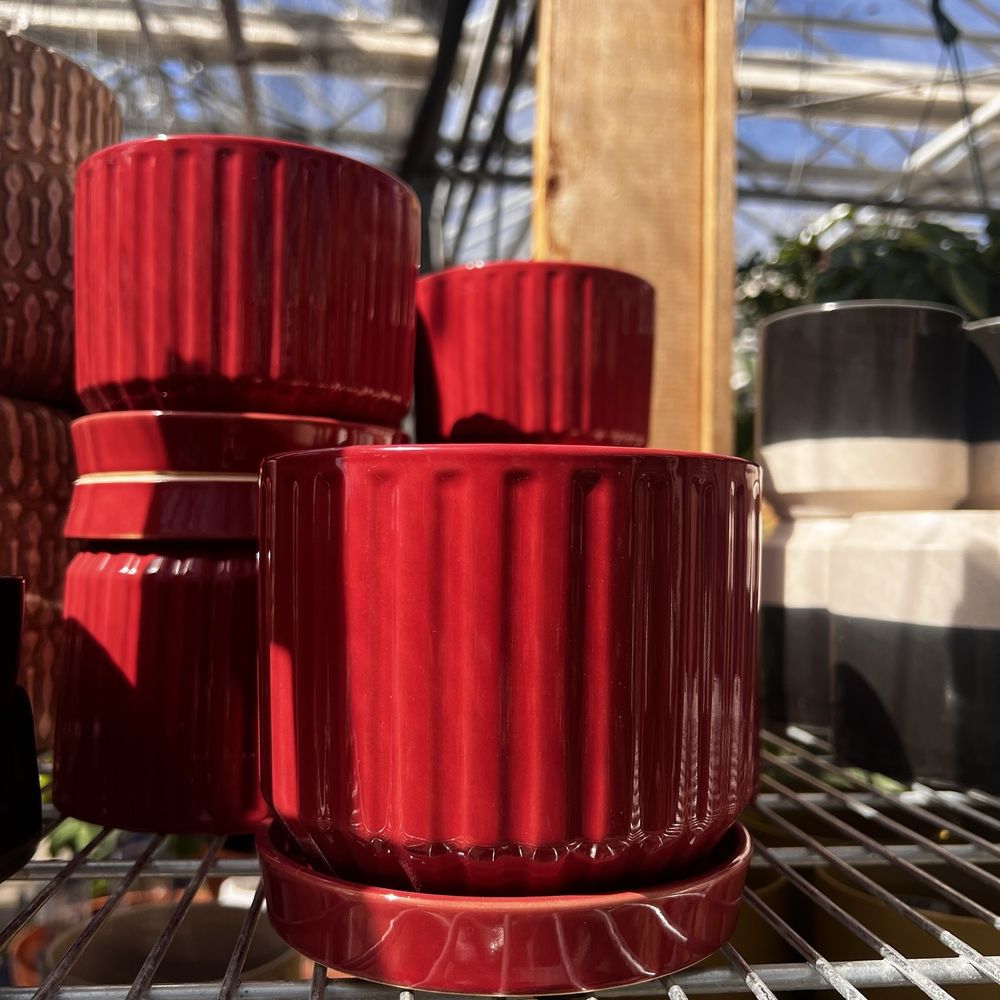 Café Equinox - Pots - Home & Garden Near Me - Shawnee, Kansas