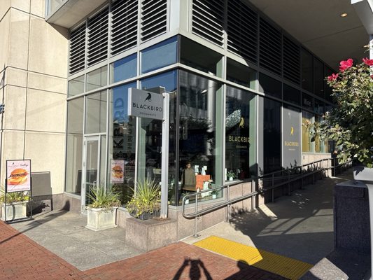 Blackbird Doughnuts Beacon Hill by null