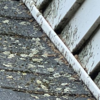Universal Pest Control - Bee poop! We thought it was birds! - Pest Control Near Me - Roselle, New Jersey Universal Pest Control - Bee poop! We thought it was birds! - Pest Control Near Me - Roselle, New Jersey
