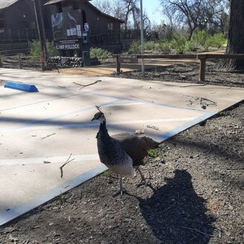 Sacramento Valley Conservancy - Camp Pollock - Recreation Centers Near Me - Sacramento, California Sacramento Valley Conservancy - Camp Pollock - Recreation Centers Near Me - Sacramento, California