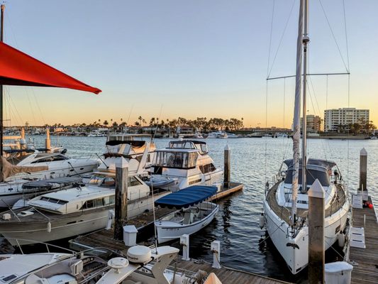 Rusty Pelican by null