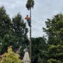 Photo of Empire Tree Service