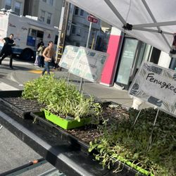 Lifefood Gardens - Clement st farmers market
