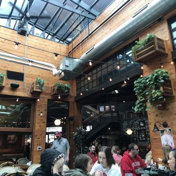 Café Hollander Hilldale - Inside - American Near Me - Madison, Wisconsin