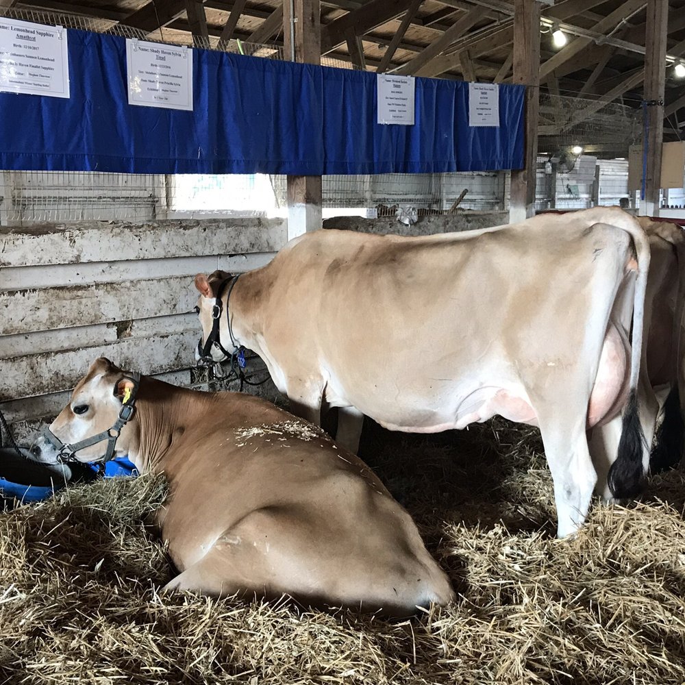 Delaware County Fairgrounds - Venues & Event Spaces Near Me - Delaware, Ohio