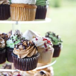 Sweet Kelly's Cupcakes