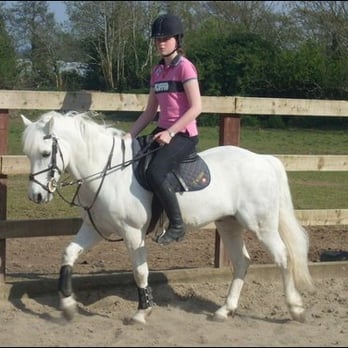 Forrest Equestrian Centre - me on my pont in forrest - Sports Clubs Near Me Forrest Equestrian Centre - me on my pont in forrest - Sports Clubs Near Me