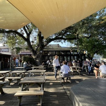 Mozart's Coffee Roasters - Coffee & Tea Near Me - Austin, Texas