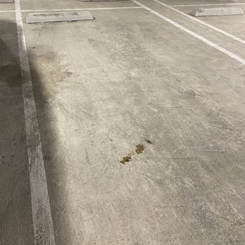 One Uptown Newport - Dog feces - Apartments Near Me - Newport Beach, California One Uptown Newport - Dog feces - Apartments Near Me - Newport Beach, California