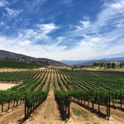 Temecula Hills Winery & Vineyard - Temecula