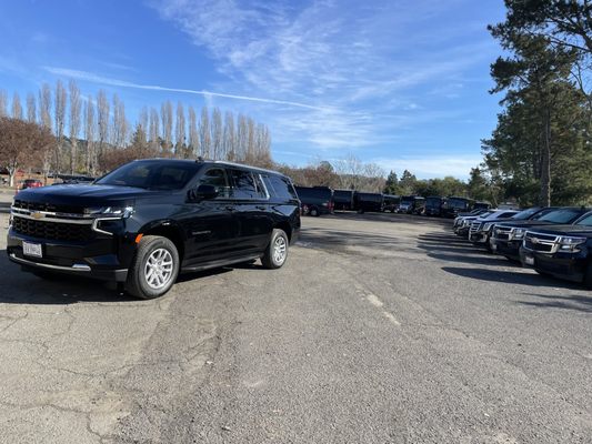 Napa Valley Tours & Transportation by null