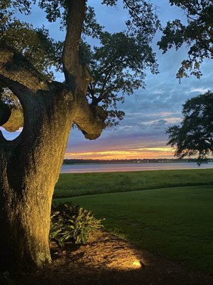 Lowndes Grove by null