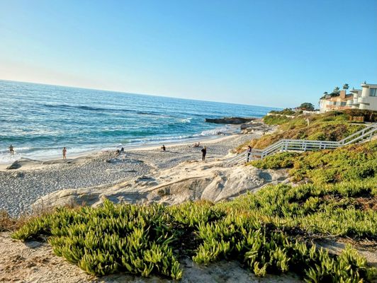 Windansea Beach by null