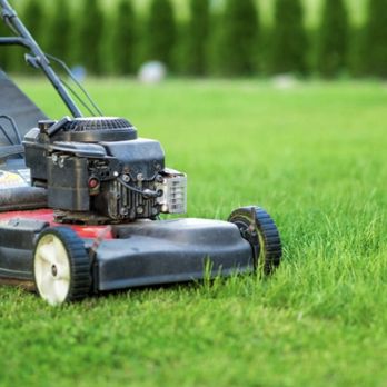 All Mowing - a lawn mower on the grass - Lawn Services Near Me All Mowing - a lawn mower on the grass - Lawn Services Near Me