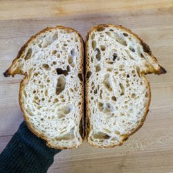 Tommy and Atticus - Classic Country Sourdough